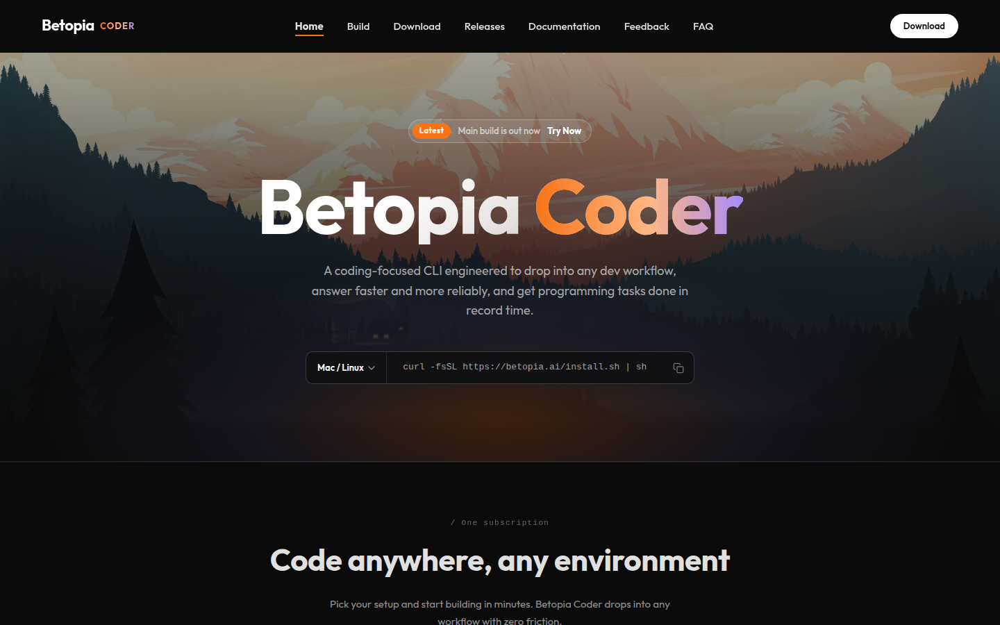 Betopia Coder live website preview
